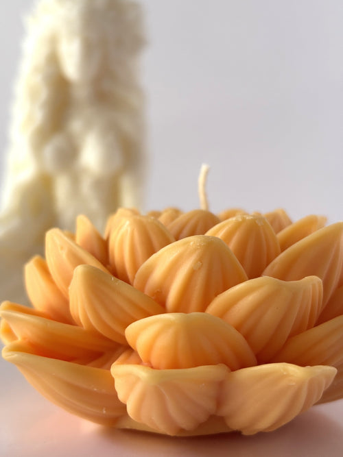 Primo piano di una candela scultorea C.Moon a forma di fiore di loto color pesca e albicocca, con una candela a silhouette femminile bianca sfocata sullo sfondo.
